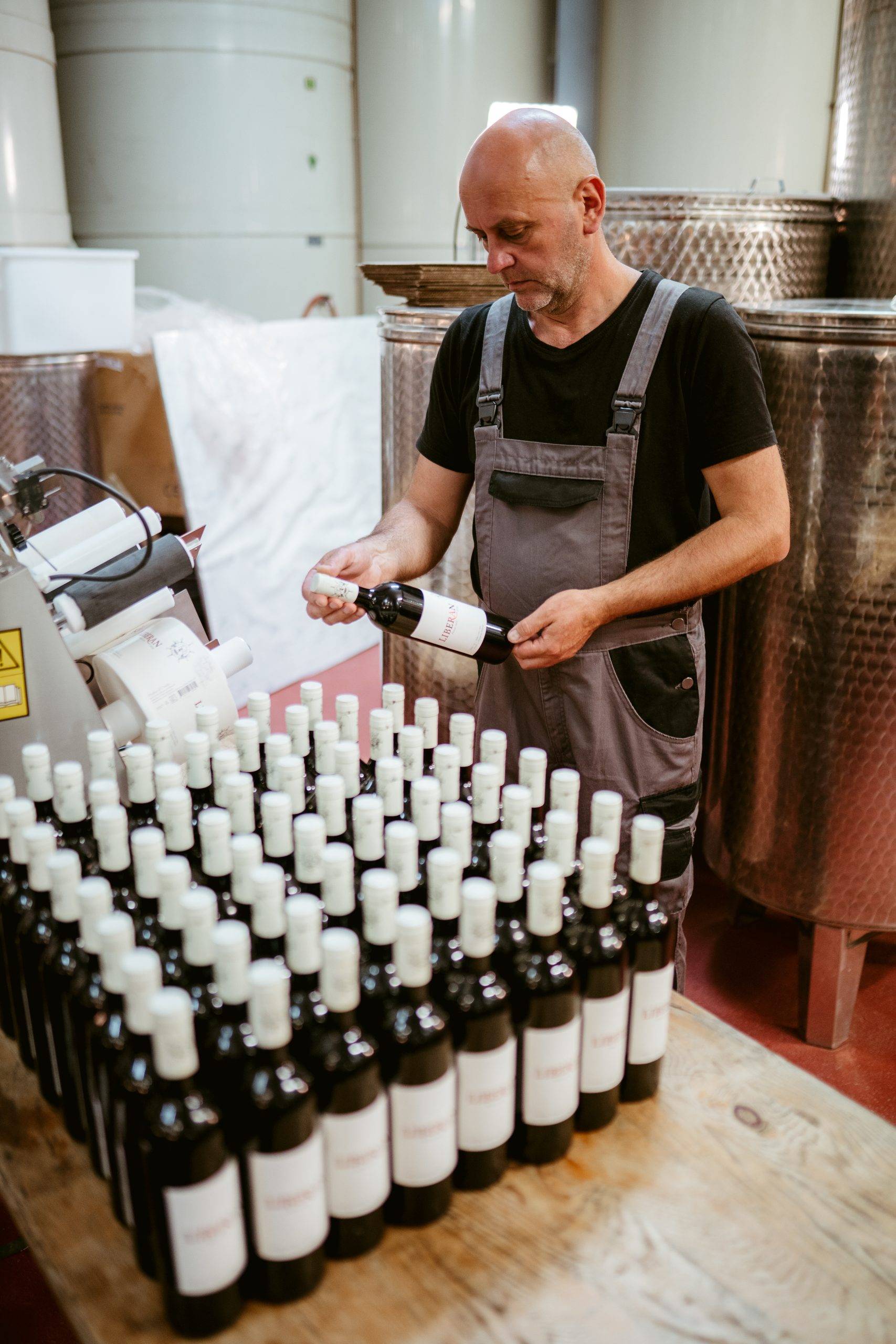 Peljesac vineyards and wine country