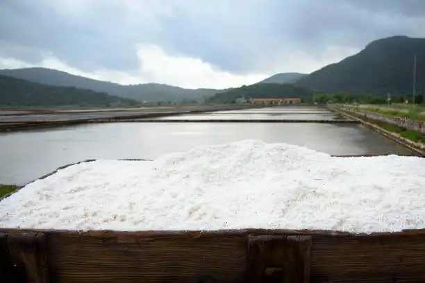Oysters and coastal dining atmosphere
